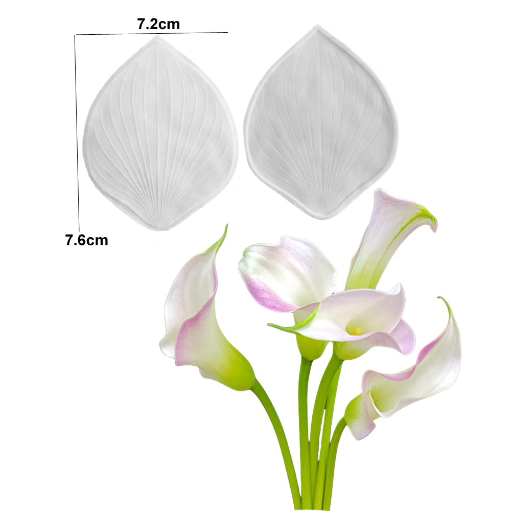 Calla Lily Blumenadern und -sc – Kitchen Paper For Baking Bewertung und Preis