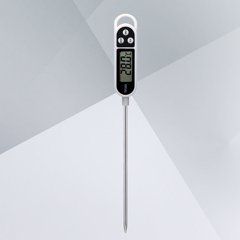 TP300 Digitales Kochthermomete – Kitchen Baking Oven Bewertung und Preis